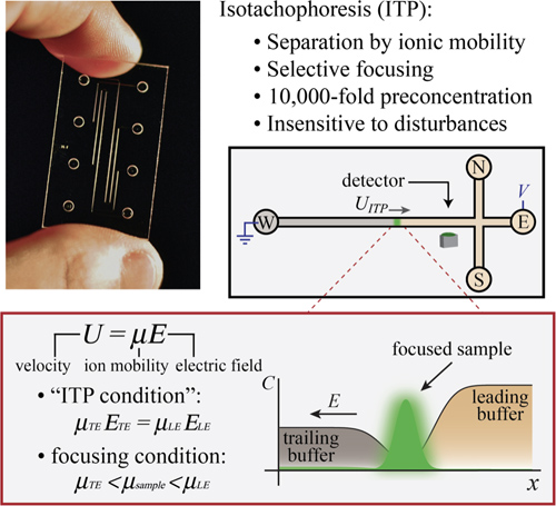 figure-protocol-1 Isotachophoresis diagram with equations and detector for ion mobility separation analysis.
