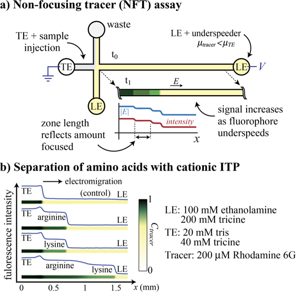 figure-protocol-5 Non-focusing tracer assay, cationic ITP separation; diagram showing electrophoretic setup, fluorescence.