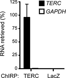 figure-protocol-2 Bar chart showing RNA retrieval percentage; ChIRP assay, TERC, GAPDH, LacZ comparison.