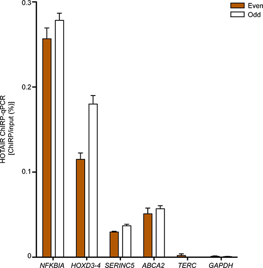 figure-protocol-3 HOTAIR ChIRP-qPCR bar graph, gene comparison, NFKBIA to GAPDH, percentage input analysis.