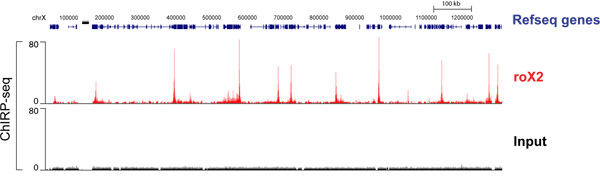 figure-protocol-4 ChIRP-seq analysis graph; chromosome X RefSeq genes; RNA-binding site peaks of roX2; data comparison.