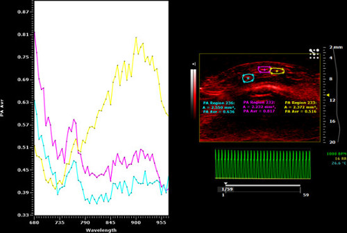 figure-results-20 Absorption and emission spectra with optical imaging; graph and spectroscopic analysis results.