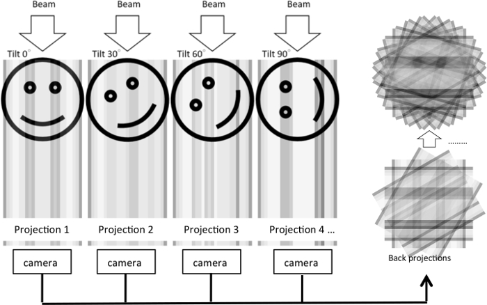 figure-results-1 figure-results-1