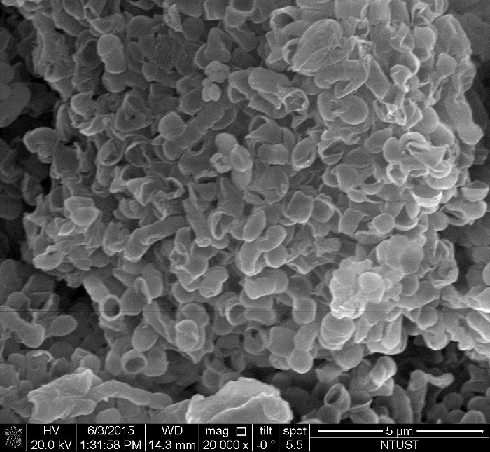 figure-results-3 Scanning electron microscope image, nanoparticle surface morphology, materials science research.