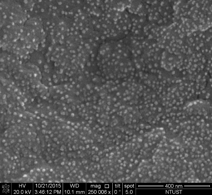 figure-results-4 Scanning Electron Microscope image showing nanoparticle surface structure at high magnification.