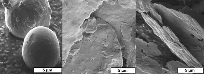 figure-results-1 Scanning electron microscope images showing surface morphology at 5μm scale; material analysis.