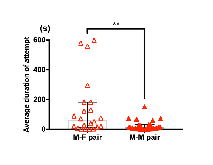 figure-results-11 figure-results-11