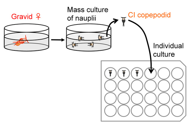 figure-results-4 figure-results-4