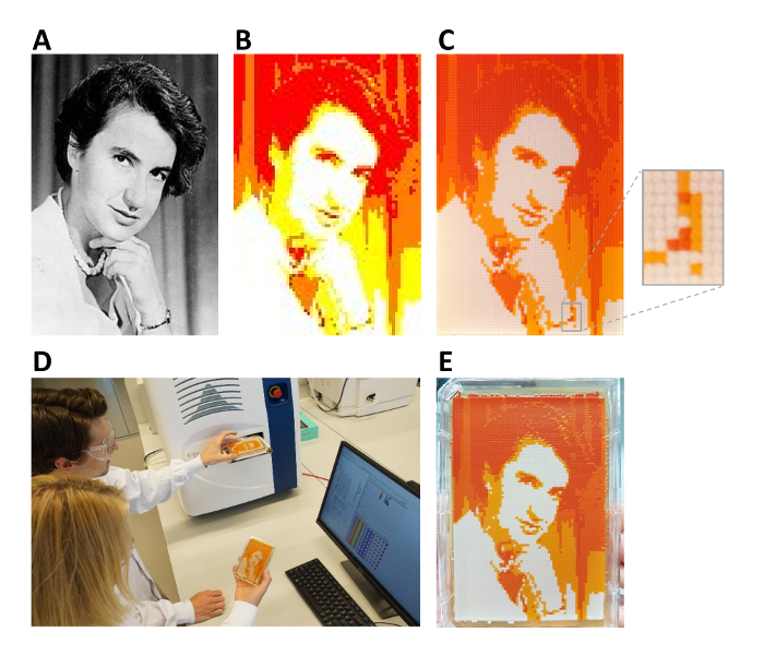figure-results-6 Rosalind Franklin photo translation to 3D image; spectrophotometry setup in lab; color pixelation.