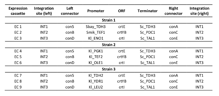 figure-results-7 Genetic integration table, showing promoter, ORF, terminator details across strains for gene editing.
