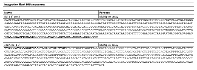 figure-results-8 DNA sequencing chart, multiplex array, showing integration flank DNA sequences for research analysis.