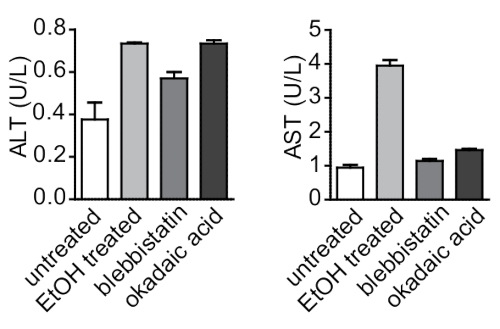 figure-results-6 ALT and AST enzyme activity bar graph, comparing untreated, ethanol, blebbistatin, okadaic acid.