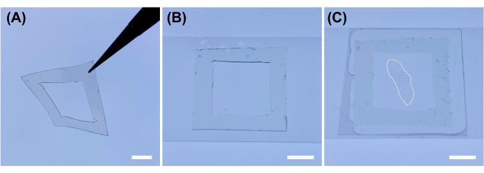 figure-protocol-2 Fabrication process diagram; step-by-step assembly of microfluidic device components.