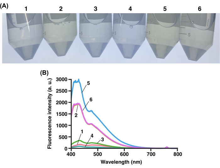 figure-results-4 Fluorescence spectra analysis; centrifuge tubes and graph showing intensity vs wavelength.