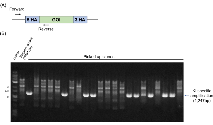 figure-results-2 figure-results-2
