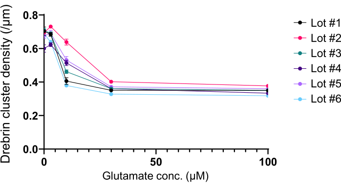 figure-results-5 Glutamate concentration vs. Drebrin density graph; comparative analysis of six sample lots.
