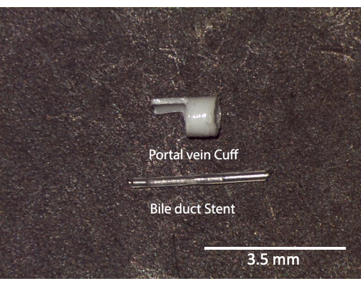 figure-results-3 Comparação do manguito da veia porta e do stent do ducto biliar; Escala de 3,5 mm em fundo escuro.
