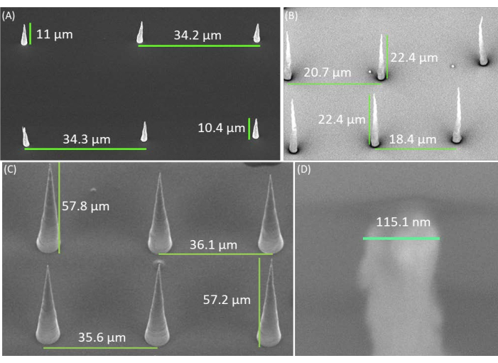 figure-results-3 SEM analysis of micro-scale sharp-tipped structures, measurements noted, for nanostructure study.