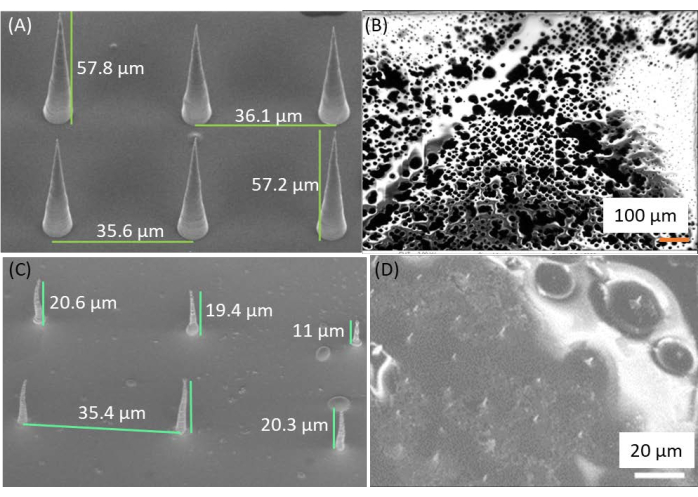 figure-results-8 Microscopy analysis, nanostructure arrays, micro-scale measurements, SEM images, surface morphology.