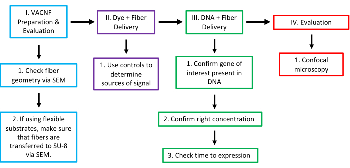 figure-results-16 VACNF preparation process diagram; steps: SEM analysis, fiber delivery, DNA confirmation, microscopy.